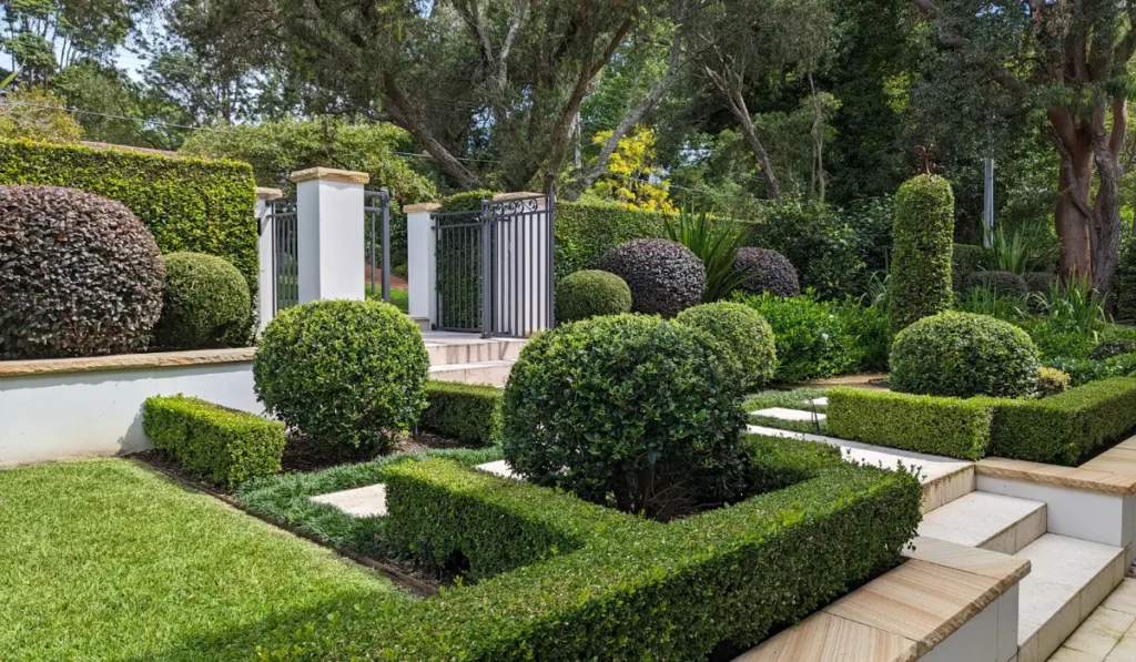 Bespoke topiary artistry