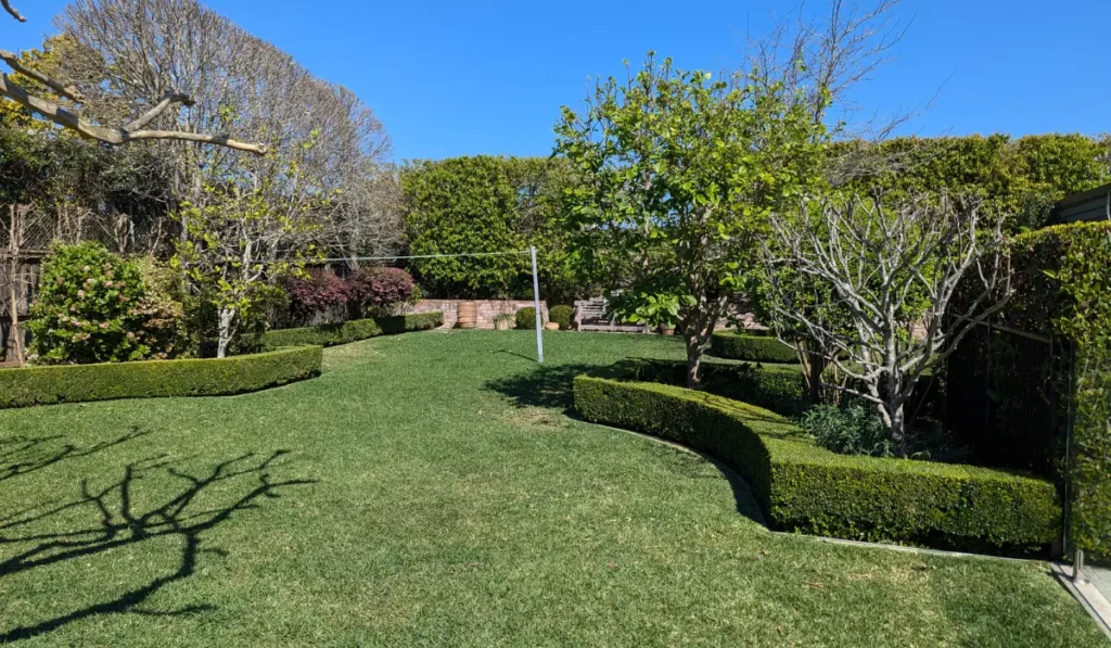 Custom hedge designs