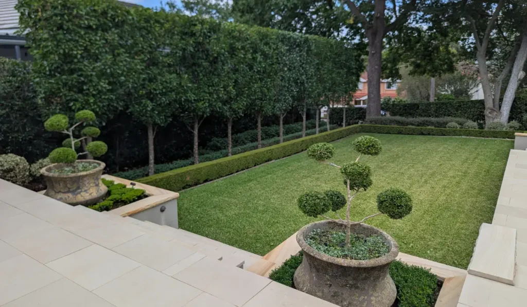 Decorative hedging