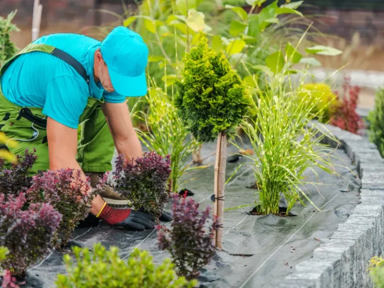 Garden Maintenance