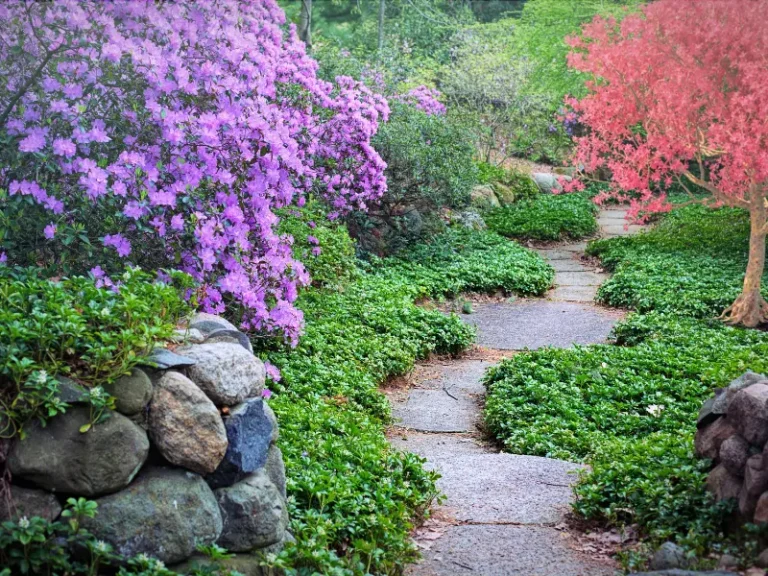 Garden makeover