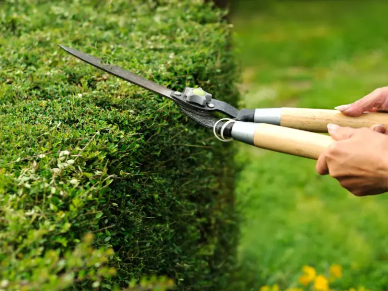 Hedging