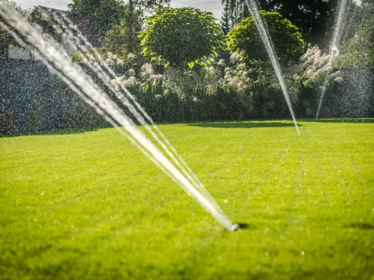 Irrigation maintenance