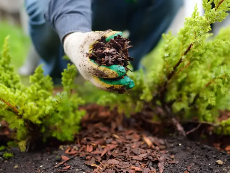 Mulching