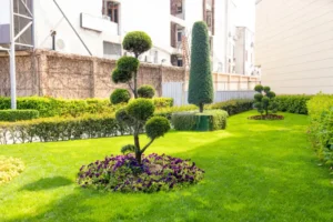 Topiary Green Mantra