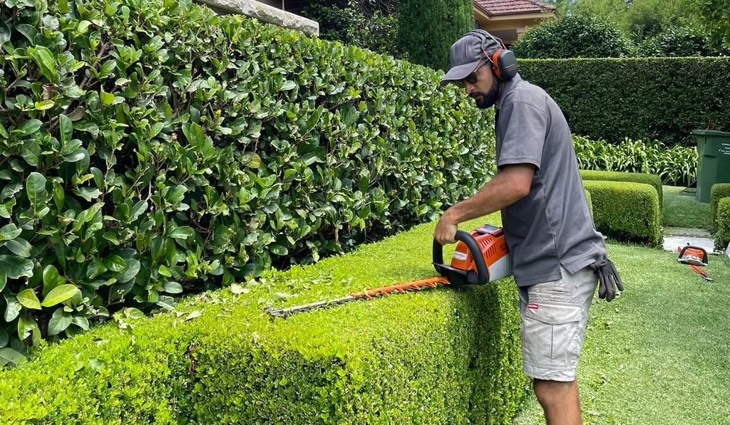 Hedging and topiary
