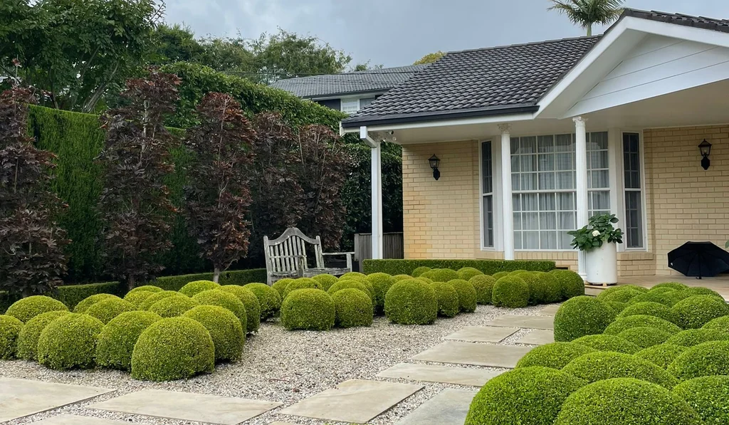 Front garden presentation