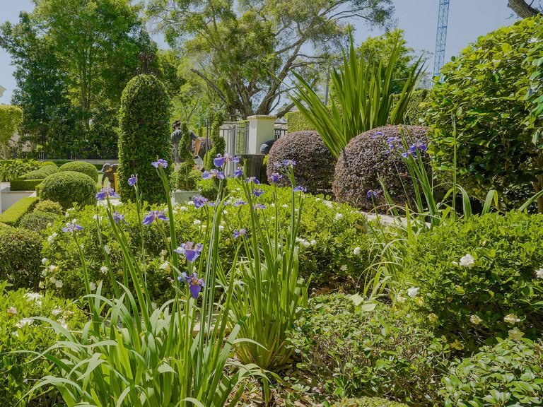 New planting in an established garden bed