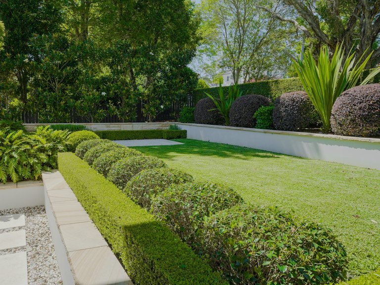 Ongoing garden maintenance on an established North Shore property