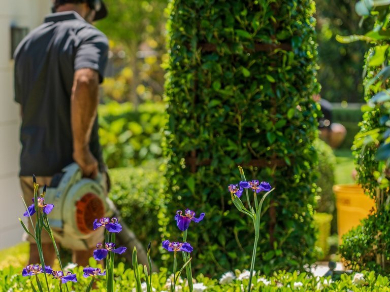 Grounds maintained for a managed Sydney property