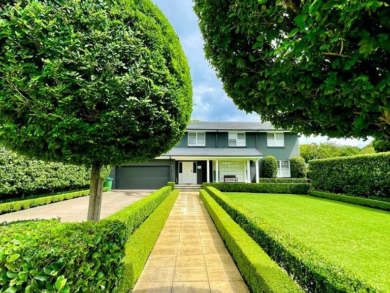 Clipped topiary and hedges lining the front path of a Sydney North Shore home
