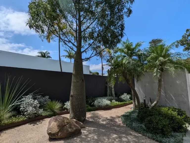 Garden makeover in an established Sydney garden